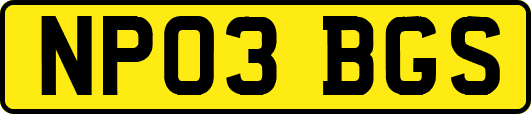 NP03BGS