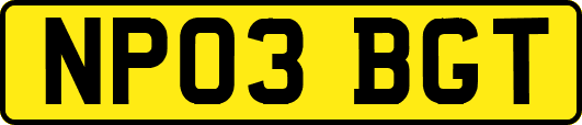 NP03BGT