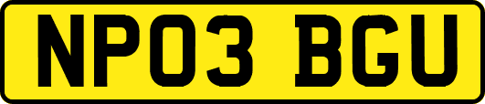 NP03BGU
