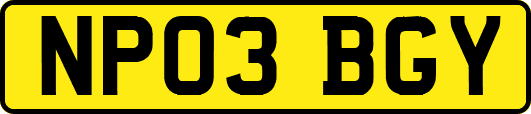 NP03BGY