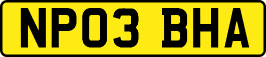 NP03BHA
