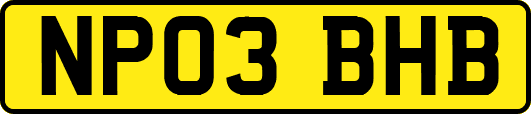 NP03BHB