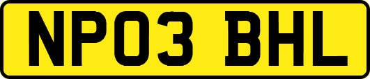 NP03BHL