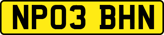 NP03BHN