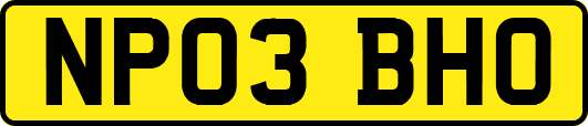 NP03BHO