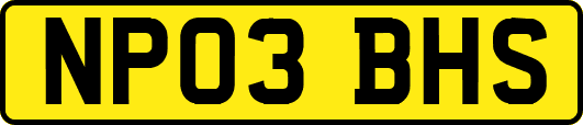 NP03BHS