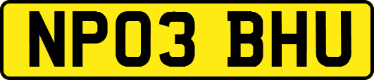 NP03BHU