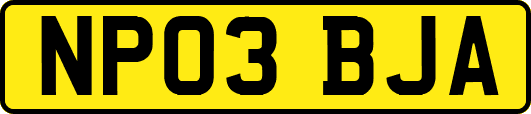 NP03BJA