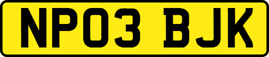 NP03BJK