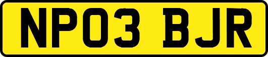 NP03BJR