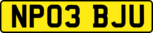NP03BJU