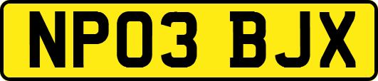 NP03BJX