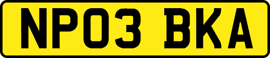 NP03BKA