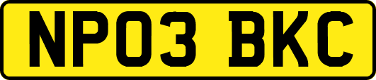 NP03BKC