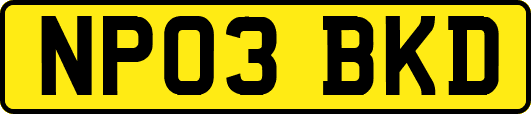 NP03BKD