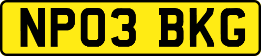 NP03BKG