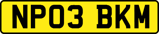 NP03BKM