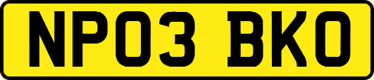 NP03BKO
