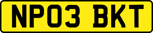 NP03BKT