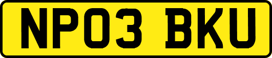 NP03BKU