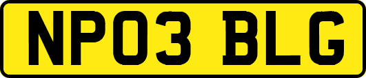NP03BLG