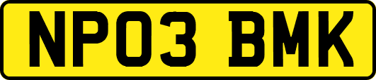 NP03BMK