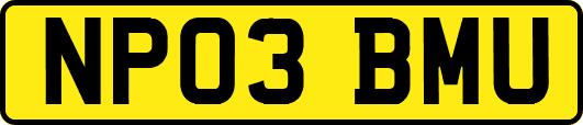 NP03BMU