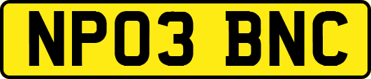 NP03BNC