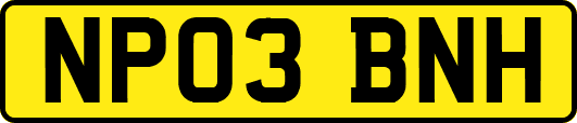 NP03BNH