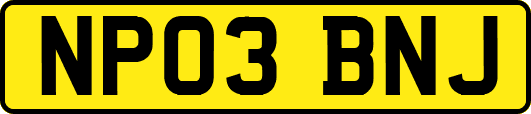 NP03BNJ