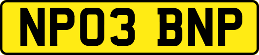 NP03BNP