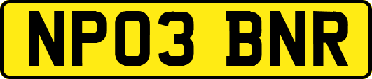 NP03BNR