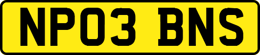 NP03BNS