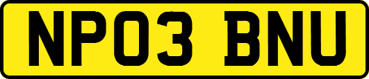 NP03BNU