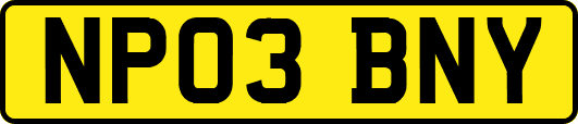 NP03BNY