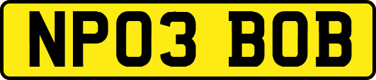 NP03BOB