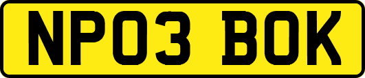 NP03BOK