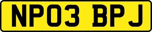 NP03BPJ
