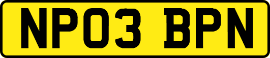 NP03BPN