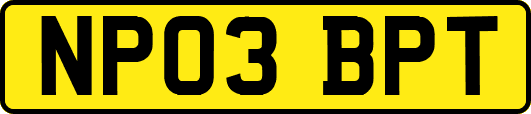 NP03BPT