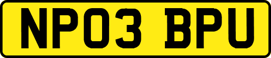 NP03BPU