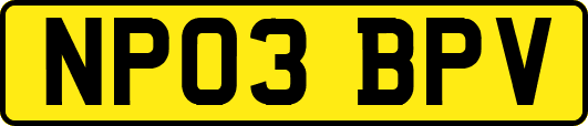 NP03BPV