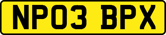 NP03BPX