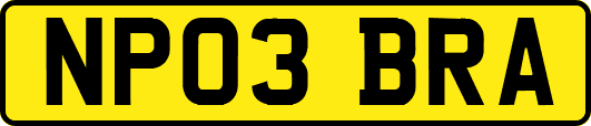 NP03BRA