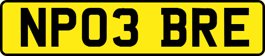 NP03BRE