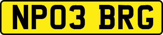 NP03BRG