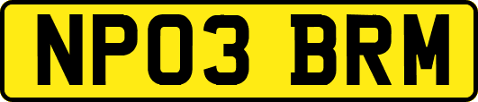 NP03BRM