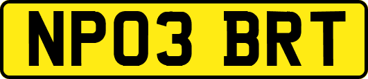 NP03BRT