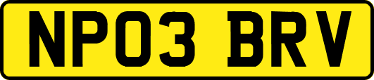 NP03BRV