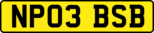 NP03BSB